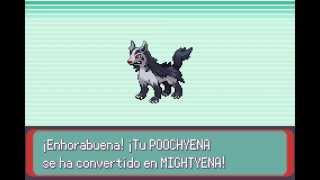 Pokémon Esmeralda  Poochyena evoluciona a Mightyena [upl. by Oisangi62]