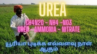 UREA FERTILIZER USE FOR PLANT NITRIFICATION HYDROLYSIS EXPLAINED NANO UREA [upl. by Bartko]