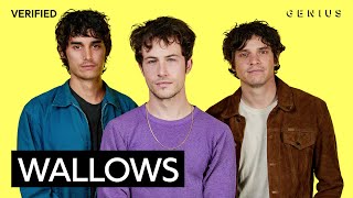 Wallows quotYour Apartmentquot Official Lyrics amp Meaning  Genius Verified [upl. by Eseuqram]