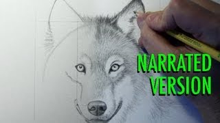 How to Draw a Wolf Narrated [upl. by Weatherby]