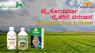 Trichoderma boon to farmer  ಟ್ರೈಕೋಡರ್ಮಾ ರೈತರಿಗೆ ವರದಾನ [upl. by Sergio]