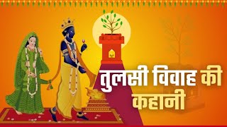 Tulsi Vivah live video ❣️🙏 jai Tulsi mata di ❣️🙏 watching time ❣️ [upl. by Fleur]