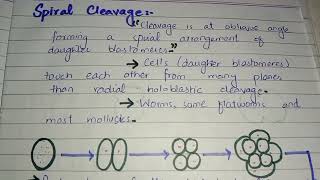 Types of Cleavage  Cleavage [upl. by Urba]