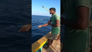 Longline fishing  thenkadalmeenavan reels shorts [upl. by Yenalem]