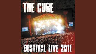 Play for Today Bestival Live 2011 [upl. by Mastic806]