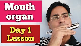 Mouth organ Day 1 lesson Harmonica basic Day 1 tutorial Mouth organ first lessonHarmonica lesson [upl. by Winnifred]