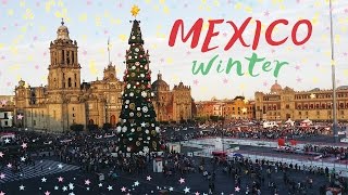 Mexico Travel in Winter  CDMX [upl. by Assilana]