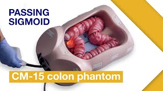 Basic Techniques of Colonoscope Insertion Ex3 Passing sigmoid colon without abdominal compression [upl. by Marylinda]