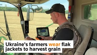 Farmers wear flak jackets to harvest grain [upl. by Erialb]