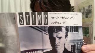 【lyric reading】StingIf You Love Somebody Set Them Free STING 日本語歌詞 lyricreading [upl. by Pyne739]