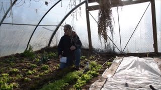 Le Potager du Paresseux  Quand on sème en hiver cest parfois chaud [upl. by Arch182]