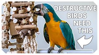 Chunky Toys For DESTRUCTIVE Birds [upl. by Hilaria997]