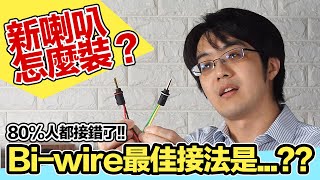 80的人都錯了！新喇叭有Biwire怎麼裝最好？正確方法觀念教學 [upl. by Swamy]