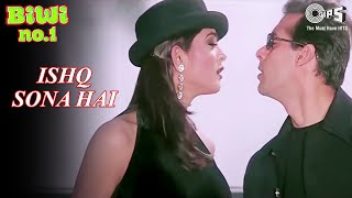 Ishq Sona Hai  Salman Khan amp Sushmita Sen  Shankar Mahadevan amp Hema  Biwi No 1  90s Hindi Songs [upl. by Ycnej509]