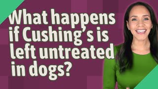 What happens if Cushings is left untreated in dogs [upl. by Suinuj338]