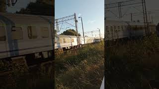 EP08 PKP Intercity train pociagi pociag youtubeshorts trainspotting kolej [upl. by Nolan400]