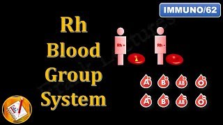 Rh Blood Group System FLImmuno62 [upl. by Nnael]