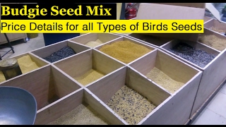 Budgie Seed Mix for Best Outcome  Price details of all types of Birds Seeds [upl. by Eads694]