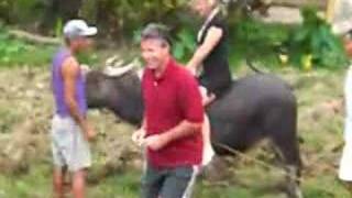 Boracay water buffalo ride in Malay Boracay Philippines [upl. by Alimak269]