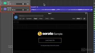 Serato Sample 101 Learn Serato Sample  Loading Samples [upl. by Haidebez]