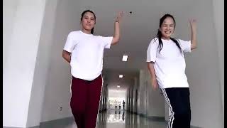 15 Common Dance terms in Folk Dance PATHFIT3Demonstration💃 [upl. by Erdnaek377]