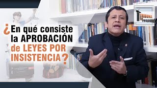 ¿En qué consiste la APROBACIÓN DE LEYES POR INSISTENCIA  TTR  95 [upl. by Fuld989]