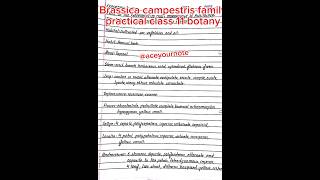 Brassica campestris family botany practical class 11 ytshorts shorts biology aceyournote [upl. by Bernetta]