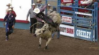 2016 Greeley Stampede PRCA Xtreme Bulls Highlights [upl. by Eenahc]