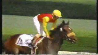 Dance Smartly Queens Plate 1991  Canadian Triple Crown [upl. by Kenison15]