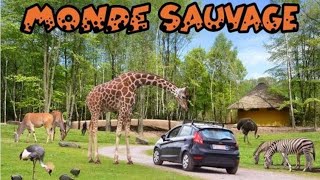 visite du zoo monde sauvage d aywaille [upl. by Anesor]