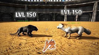 LOBO vs DIENTES DE SABLE ark survival [upl. by Gale814]