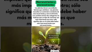 Macronutrientes y micronutrientes en la nutrición de las plantas 👨🏻‍🌾🌱 [upl. by Kyriako]