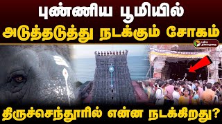 புண்ணிய பூமியில் அடுத்தடுத்து நடக்கும் சோகம் என்ன நடக்கிறது திருச்செந்தூரில்  Thiruchendur  PTD [upl. by Aelanej223]