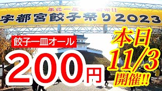 本日2023年11月3日開催！激安！餃子一皿オール２００円！！宇都宮餃子祭り2023 Japanese Food gyoza in Utsunomiya [upl. by Aitram836]