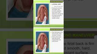 FUNDAL HEIGHT AND GRIPS OR MANEUVER [upl. by Kirchner]