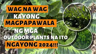 MGA USO NA OUTDOOR PLANTS NGAYONG 2024 [upl. by Davina604]