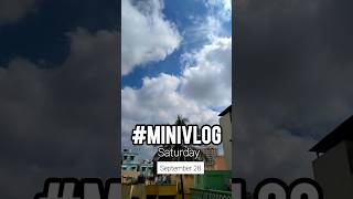 Day 06100  Minivlog  kannada  minivlog kannada shorts ytshorts [upl. by Zuleika]