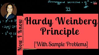 Hardy Weinberg Principle  Equilibrium  Equation With Sample Problems [upl. by Mic873]