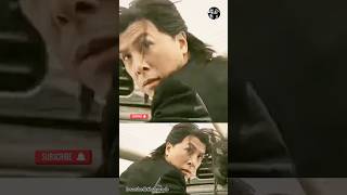 Martial Arts Acting Story Donnie Yen [upl. by Jamima356]