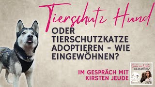 Tierschutz Hund adoptieren oder Straßenkatze aufnehmen Wie lebt sich dein Tier ein Podcast 127 [upl. by Renraw]