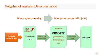 Unraveling the structural diversity of polyphenols using liquid chromatography mass spectrometry LC [upl. by Lyrehs898]