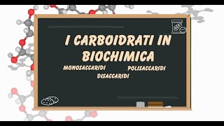 Le biomolecole i carboidrati [upl. by Aney]