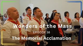 Wonders of the Mass Episode 38 The Memorial Acclamation [upl. by Mazman]