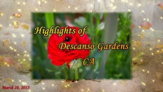 Highlights of Descanso Gardens La Cañada Flintridge California [upl. by Ecidna]