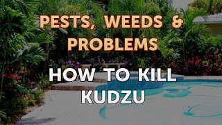 How to Kill Kudzu [upl. by Yanrahc]