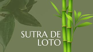 SUTRA DE LOTO [upl. by Adlesirg]