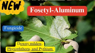 FosetylAluminum Chemistry Mode of Action and Diverse Applications [upl. by Ettenan]