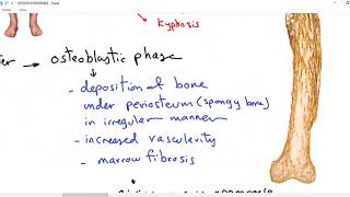 Systemic pathology 35  bone 5  osteodystrophies  DRSAMEH GHAZY [upl. by Muhan]