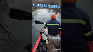 cazando carpinchos con rifle pcp y perros pabloreyes4006 [upl. by Ynaffital]