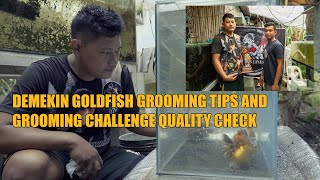 DEMEKIN GOLDFISH GROOMING TIPS AND GROOMING CHALLENGE QUALITY CHECK  GENSAN GROOMING CHALLENGE [upl. by Atsahc312]